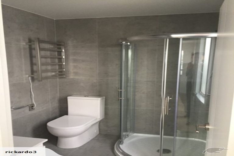 Photo of property in 16 Calcite Avenue, Flat Bush, Auckland, 2019