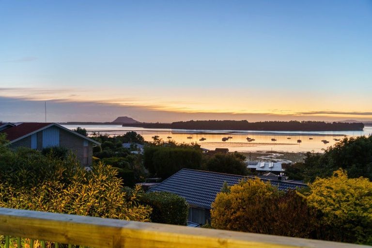 Photo of property in 57 Coppelia Avenue, Omokoroa, 3114