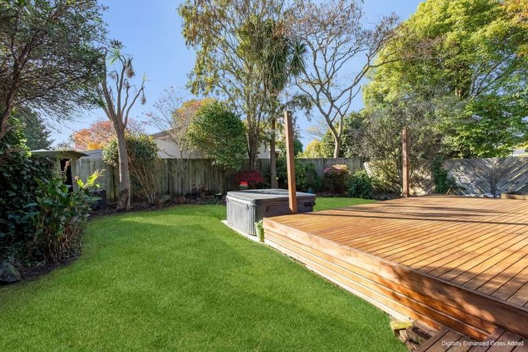 Photo of property in 39a Springfield Road, Springfield, Rotorua, 3015