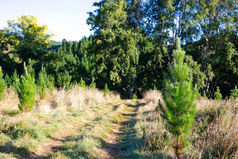 Photo of property in 751 Ongo Road, Hunterville, 4782