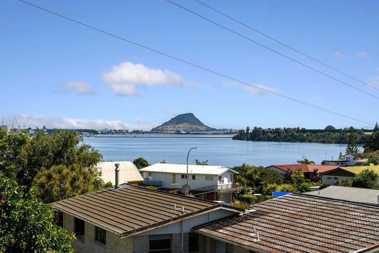 Photo of property in 359 Maungatapu Road, Maungatapu, Tauranga, 3112