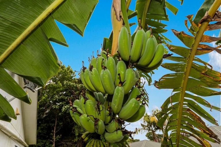 Photo of property in 576 State Highway 14, Maunu, Whangarei, 0179