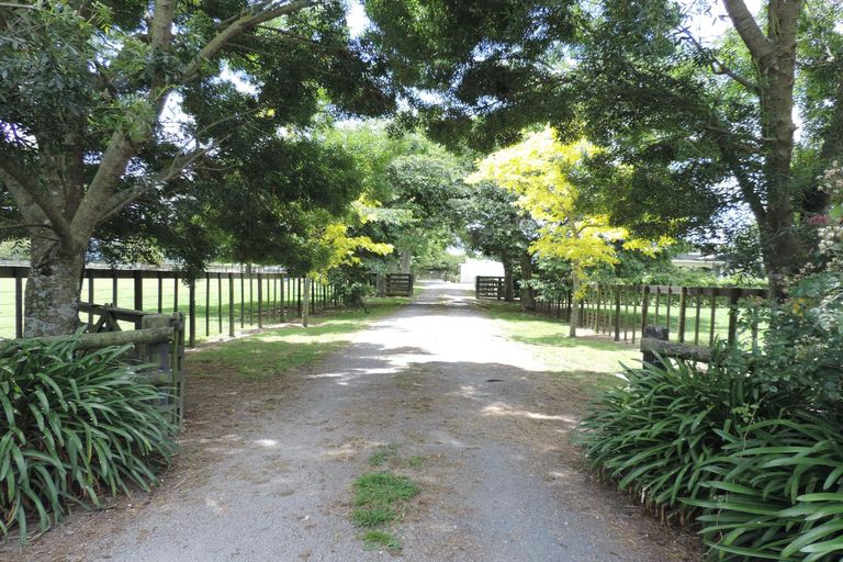 Photo of property in 1463 Alexandra Road, Waharoa, 3474