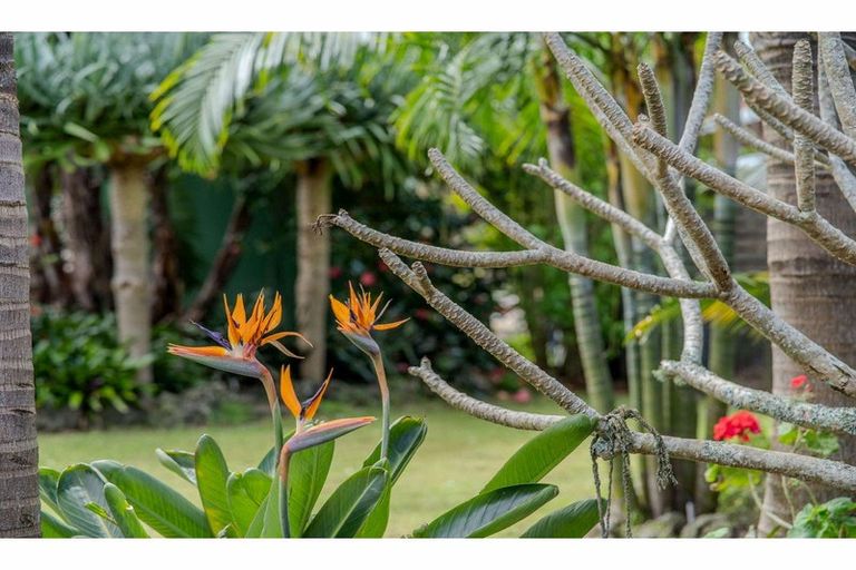 Photo of property in 38 Cobham Road, Kerikeri, 0230