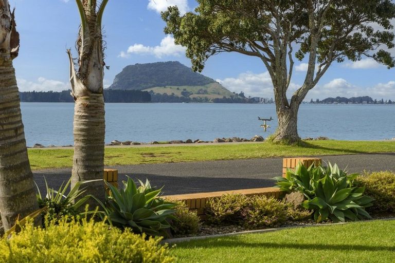 Photo of property in 269 Beach Road, Matua, Tauranga, 3110