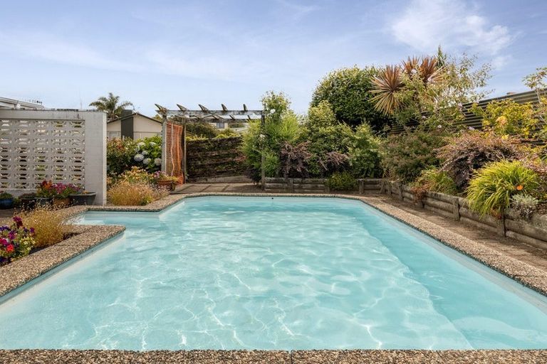 Photo of property in 17 Glenfield Place, Brookfield, Tauranga, 3110