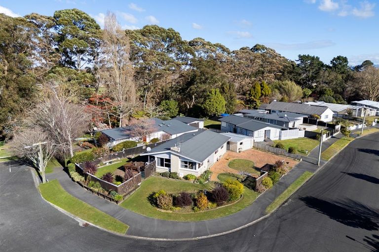 Photo of property in 21 Fitzroy Avenue, Fitzroy, Hamilton, 3206