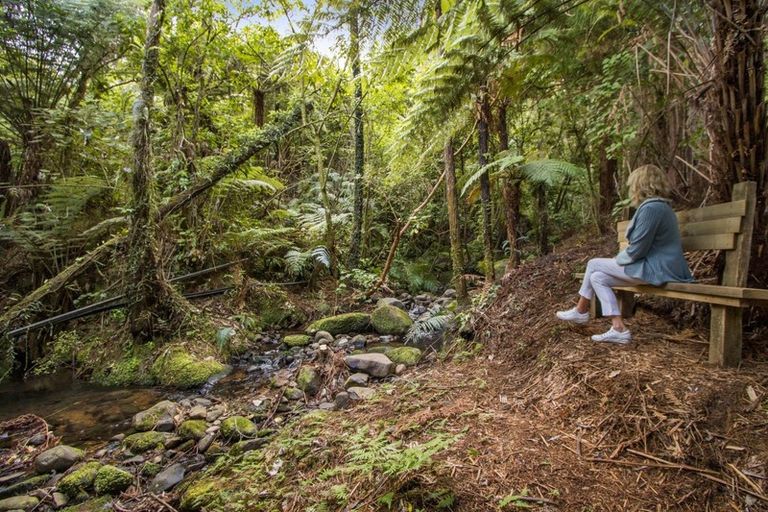 Photo of property in 234 Willoughby Road, Tahawai, Katikati, 3170