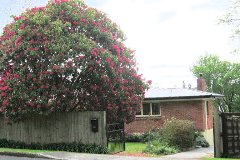 Photo of property in 99 Sutherland Road, Brookfield, Tauranga, 3110