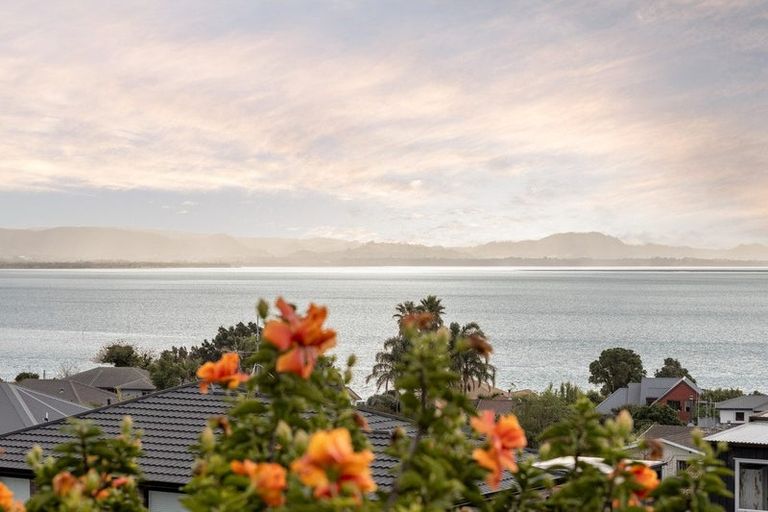 Photo of property in 5 Vivian Drive, Omokoroa, 3114