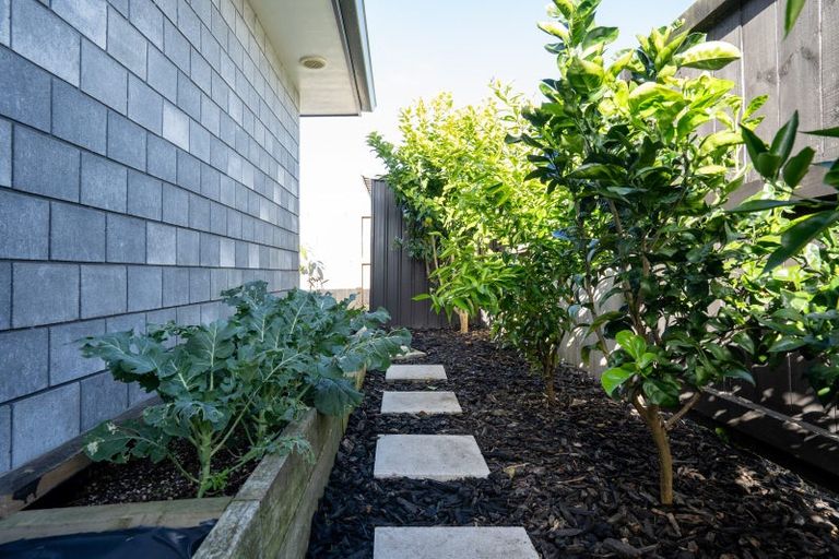 Photo of property in 9 Hehan Close, Cambridge, 3434