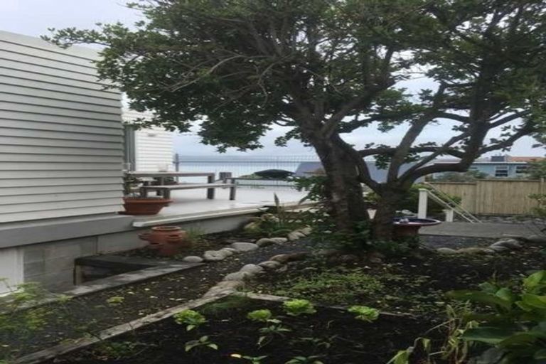 Photo of property in 135 Rosetta Road, Raumati South, Paraparaumu, 5032