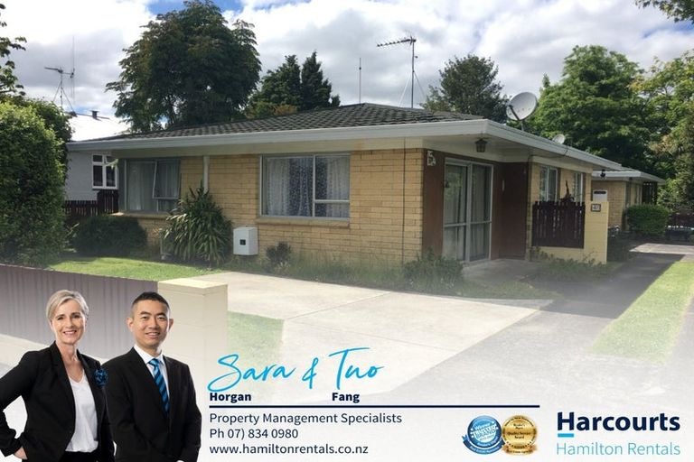 Photo of property in 47 Rimu Street, Maeroa, Hamilton, 3200