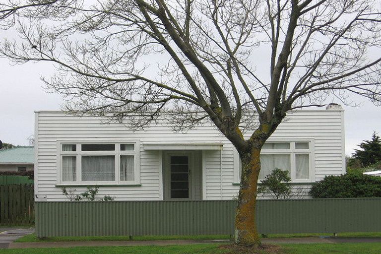 Photo of property in 32 Mckenzie Street, Levin, 5510