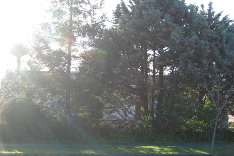 Photo of property in 32 Dominion Road, Nawton, Hamilton, 3200