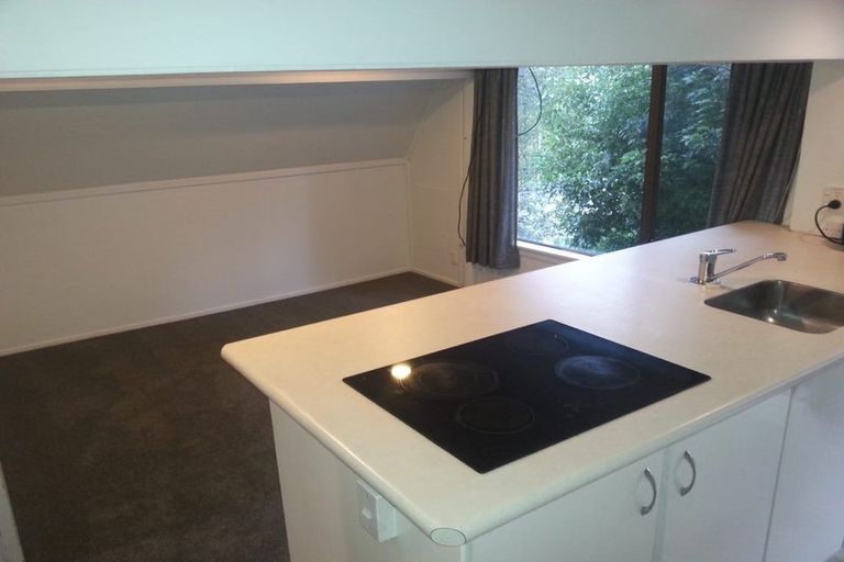 Photo of property in 81 Oaktree Avenue, Browns Bay, Auckland, 0630