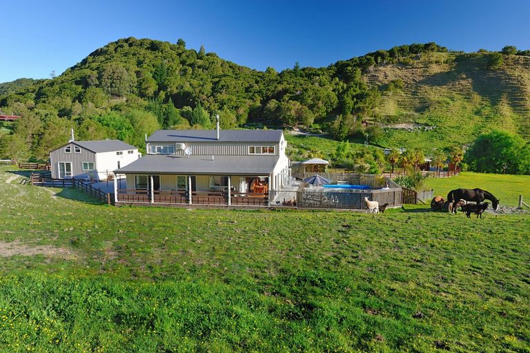 Photo of property in 351 Matokitoki Valley Road, Matokitoki, Gisborne, 4071