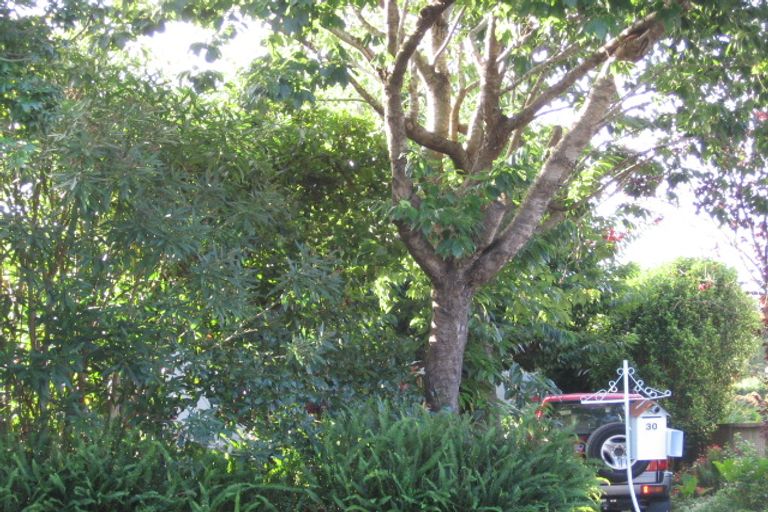 Photo of property in 30 Grande Avenue, Mount Albert, Auckland, 1025