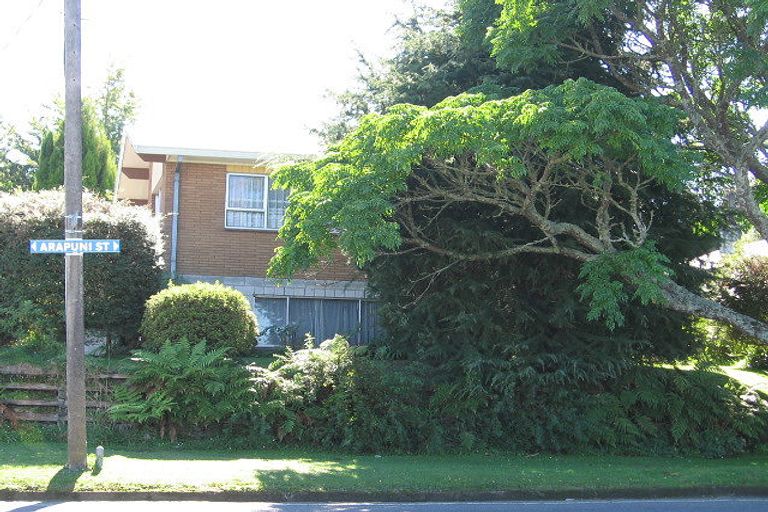 Photo of property in 111 Arapuni Street, Putaruru, 3411