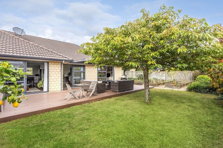 Photo of property in 24 Honiss Place, Cambridge, 3434