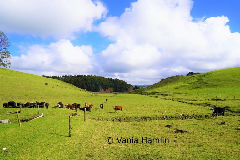 Photo of property in 533 Pataua South Road, Pataua South, Onerahi, 0192
