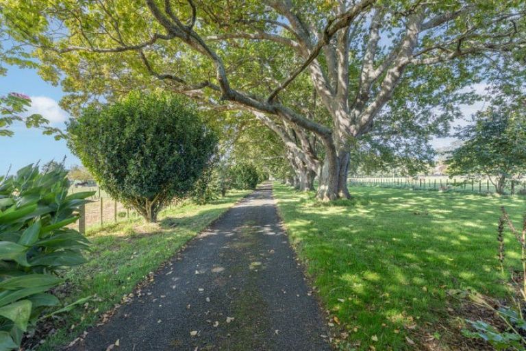 Photo of property in 107 Horrell Road, Morrinsville, 3374