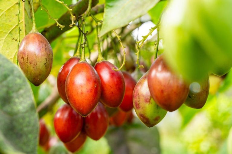 Photo of property in 174 Whatitiri Road, Maungatapere, Whangarei, 0179