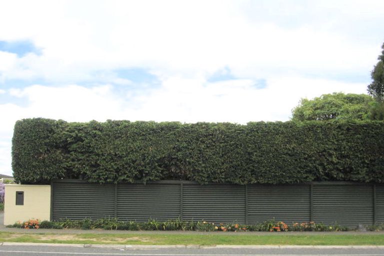 Photo of property in 167 Tamamutu Street, Taupo, 3330