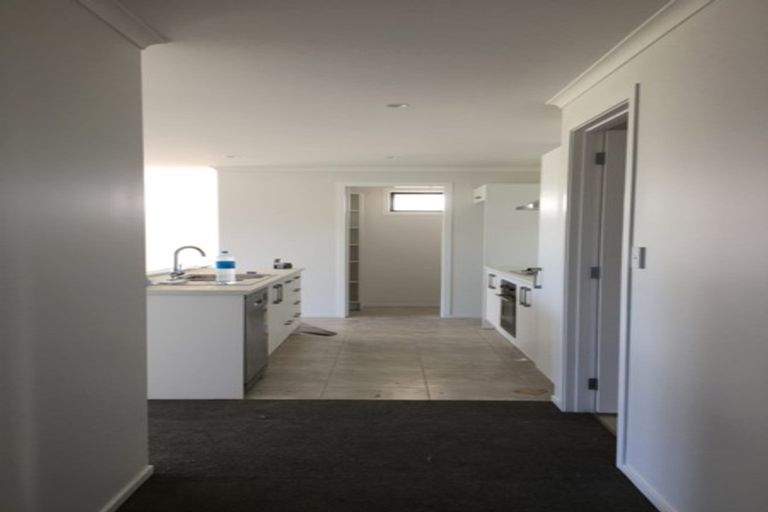 Photo of property in 217 Borman Road, Rototuna North, Hamilton, 3210