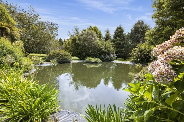 Photo of property in 947 Omanawa Road, Omanawa, Tauranga, 3171