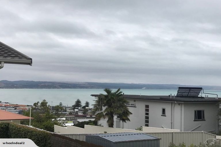 Photo of property in 1/4 George Street, Hospital Hill, Napier, 4110