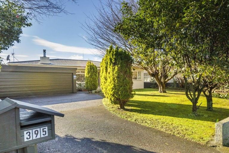 Photo of property in 395 Ruahine Street, Terrace End, Palmerston North, 4410