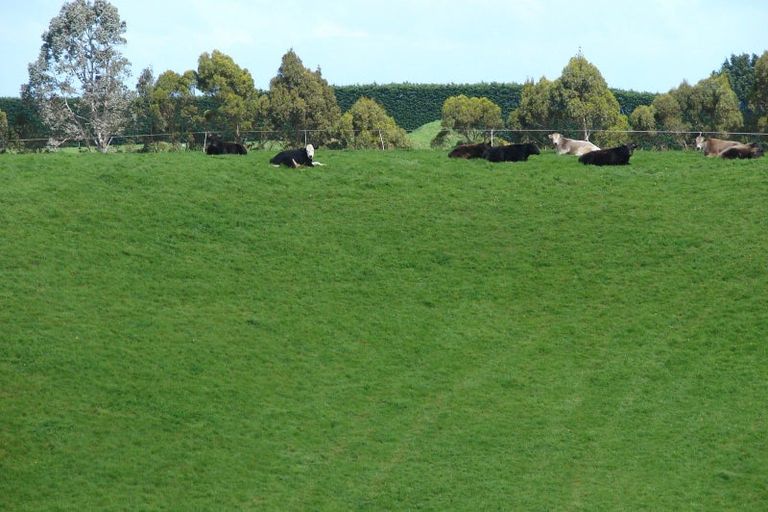 Photo of property in 217 Tussock Creek Grove Bush Road, Grove Bush, Invercargill, 9872