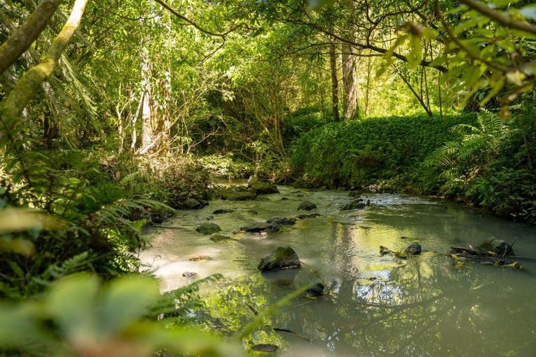 Photo of property in 246 Gray Road, Te Kamo, Kamo, 0185