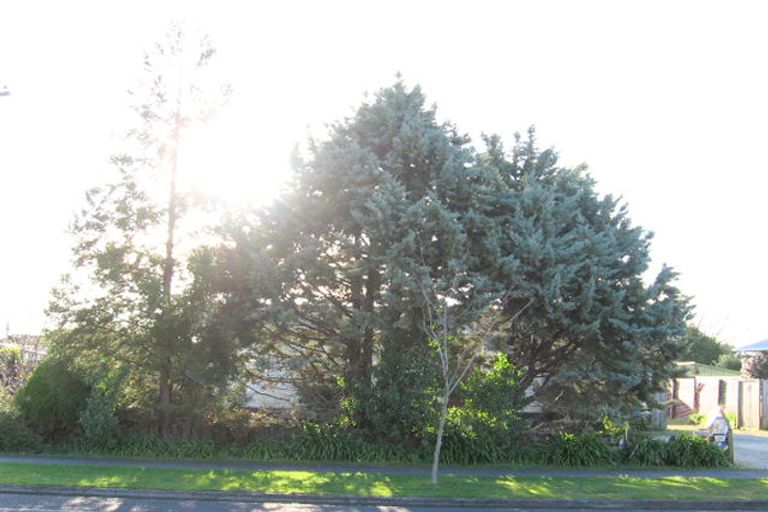 Photo of property in 30 Dominion Road, Nawton, Hamilton, 3200