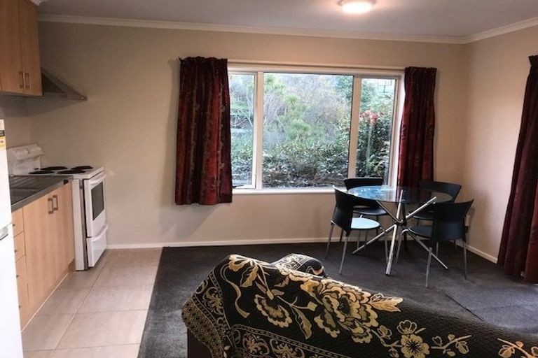 Photo of property in 29d Blair Terrace, Richmond, 7020