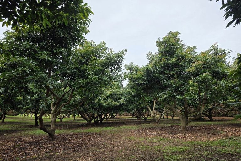 Photo of property in 244 Beach Road, Katikati, 3178