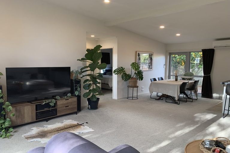 Photo of property in 8a Vine Avenue, Maungatapu, Tauranga, 3112