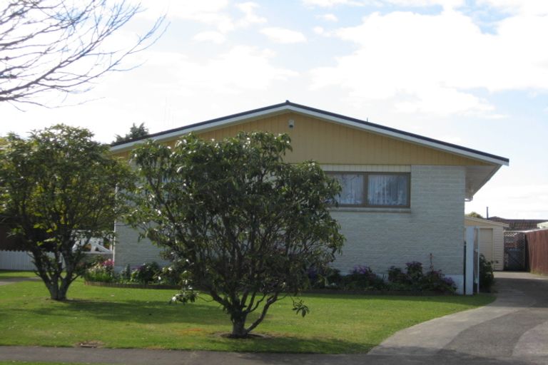 Photo of property in 55 Meadowvale Drive, Levin, 5510