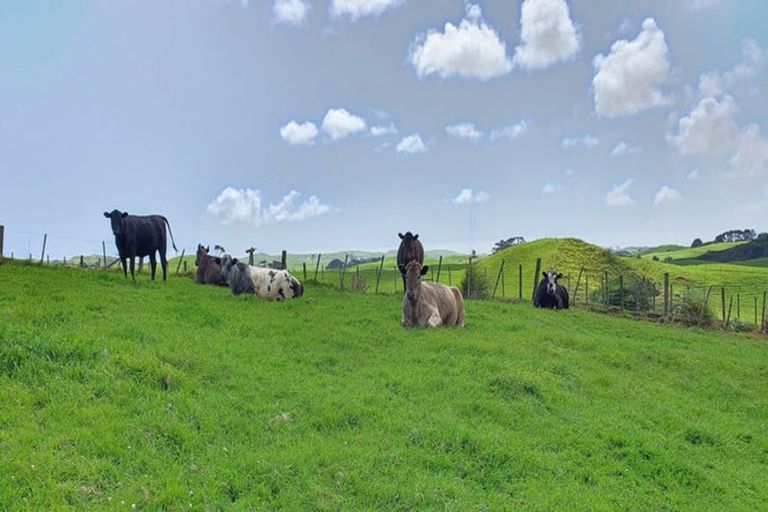 Photo of property in 247 Kaihau Road, Karioitahi, Waiuku, 2683