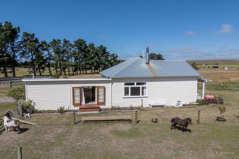Photo of property in 50 Webb Road, Saint Andrews, Timaru, 7972