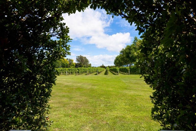 Photo of property in 58 Blicks Lane, Springlands, Blenheim, 7272