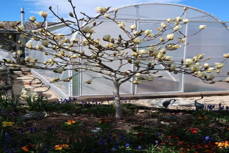 Photo of property in 8 Moorhouse Street, Waimate, 7924