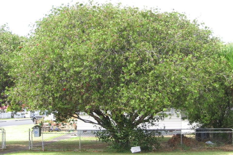 Photo of property in 7b Ranch Avenue, Beach Haven, Auckland, 0626