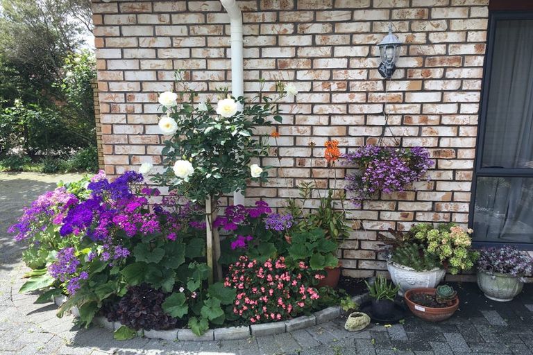 Photo of property in 9 Timandra Place, Te Kamo, Whangarei, 0112