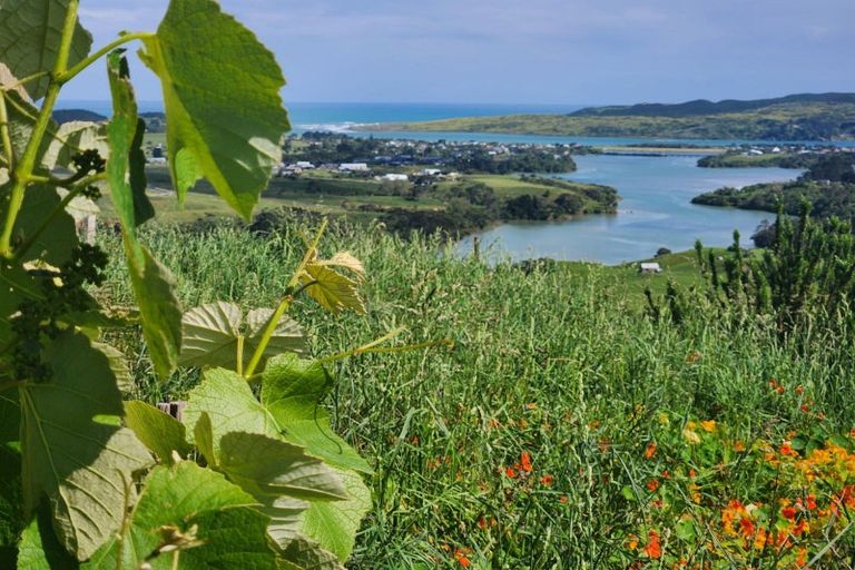 Photo of property in 132 Maungatawhiri Road, Raglan, 3295