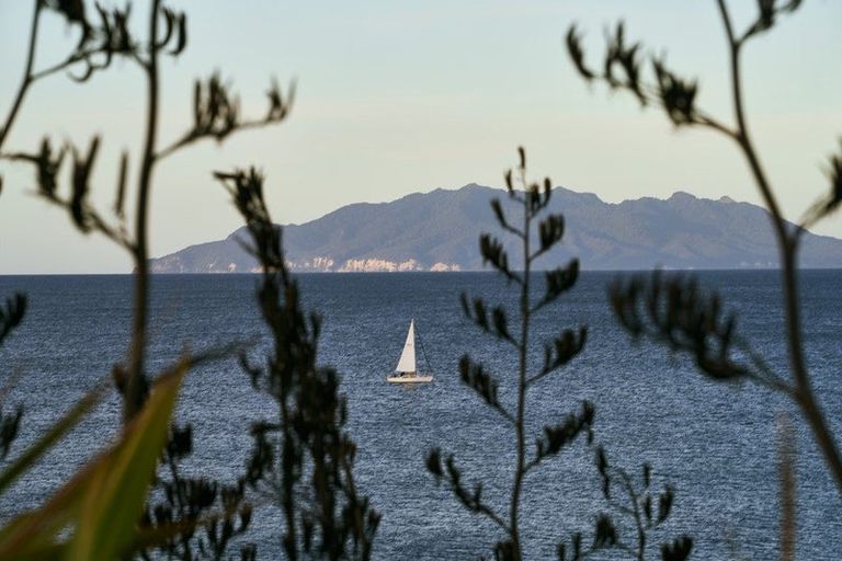 Photo of property in 245 Matakana Road, Warkworth, 0985