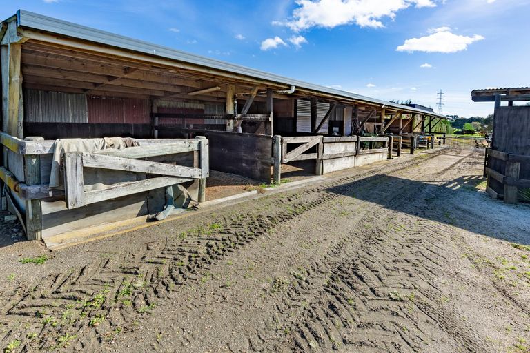 Photo of property in 1189 Glenbrook Road, Glenbrook, Waiuku, 2681