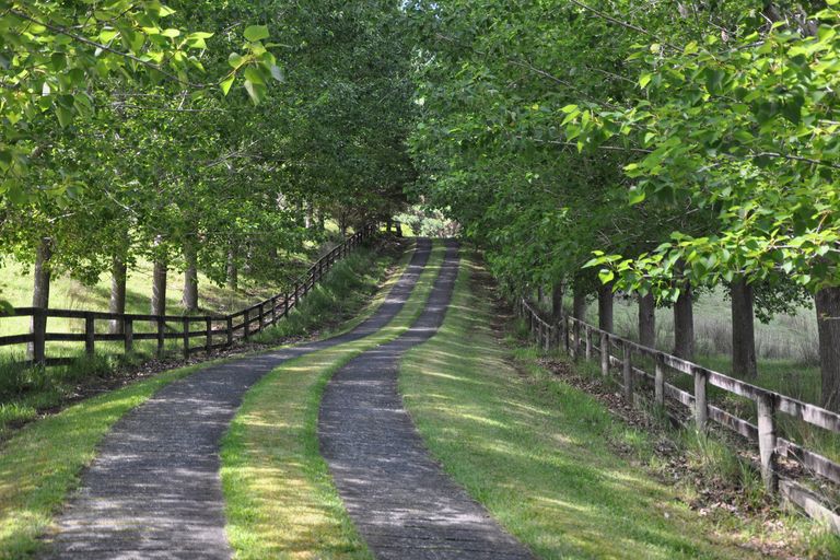 Photo of property in 204 Omaha Valley Road, Big Omaha, Warkworth, 0985