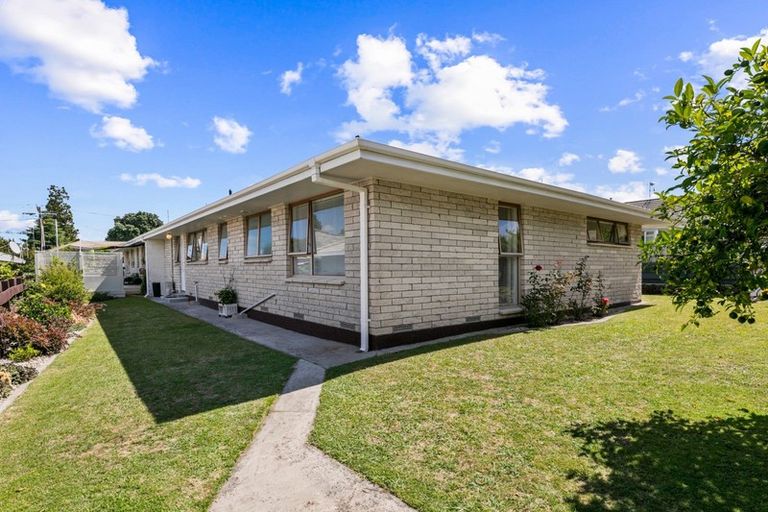 Photo of property in 115b Fourteenth Avenue, Tauranga South, Tauranga, 3112
